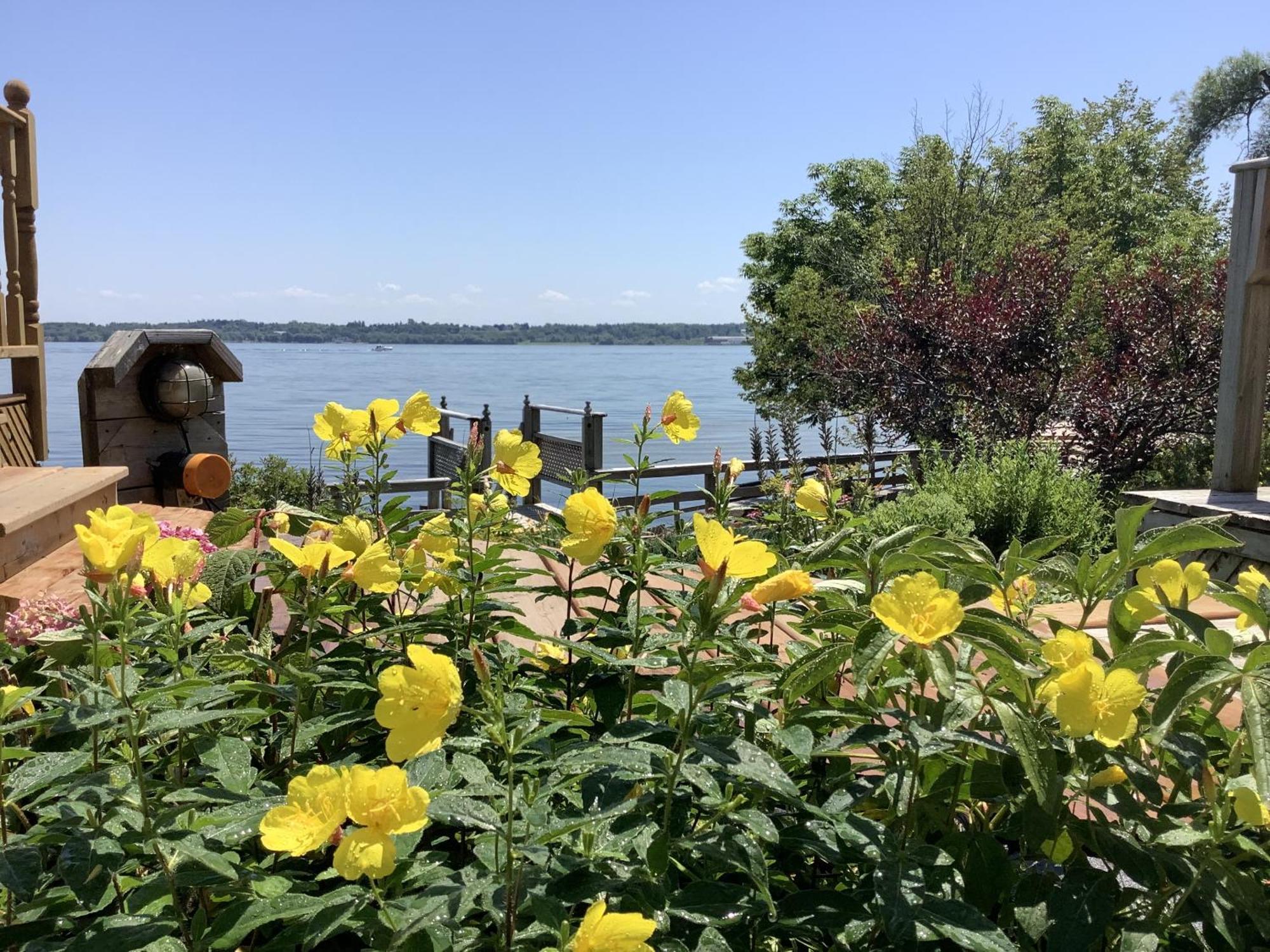 Dewar'S Inn And Cottages Prescott ภายนอก รูปภาพ